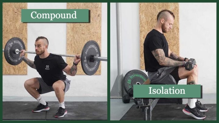 Compound vs Isolation Exercise: