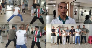 Savate:
