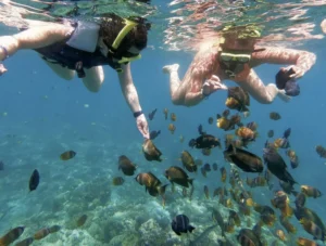 snorkeling